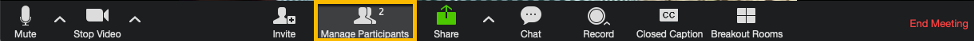 Zoom toolbar