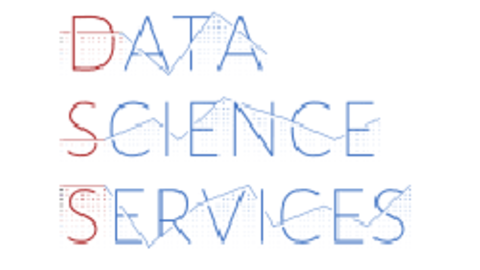dss logo