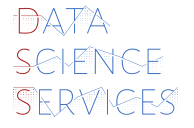 DSS Logo