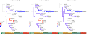 Example image for Evophylo