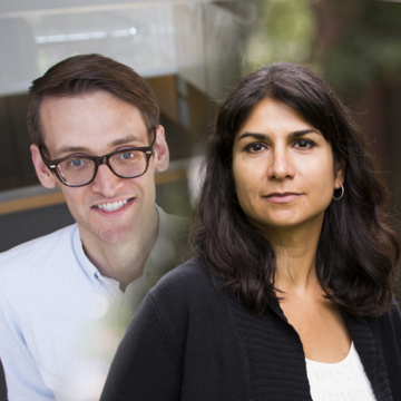 Matthew Blackwell and Maya Sen