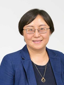 Siqi Zheng