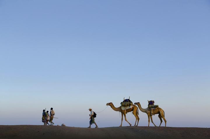 Paul Salopek and camels are led by local guides across the Ethiopian landscape