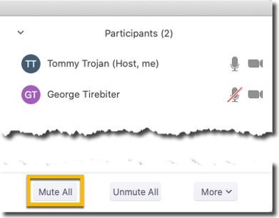 zoom audio controls