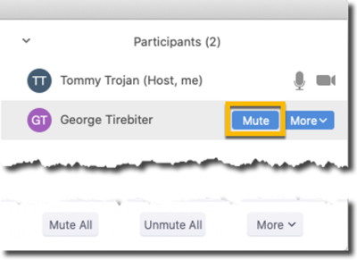 Zoom participant settings - mute individual selected