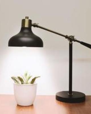 A lamp and a plant