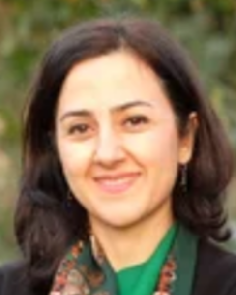 Mehrnoush Soroush